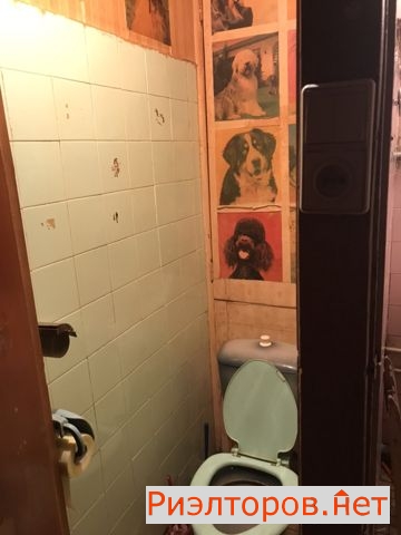 ����� ������� ����� ������������ 6 (���� �12)
