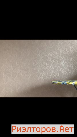 ����� ������� ����� ��������� �������� 6 (���� �2)