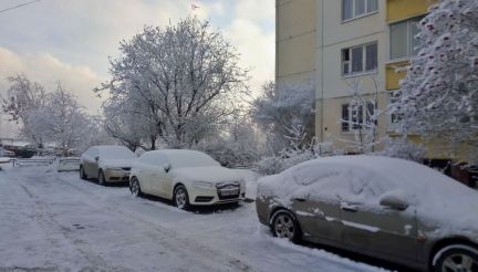 ������ �������� �� ������������� ����� ���������� ���� 13 (���� �12)