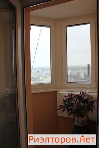 ������ �������� ������������ ����� 24�1 (���� �22)