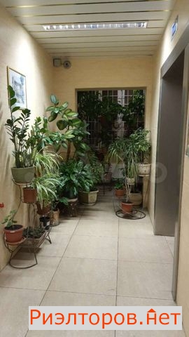 ������ �������� ������� ����� 19�2 (���� �4)