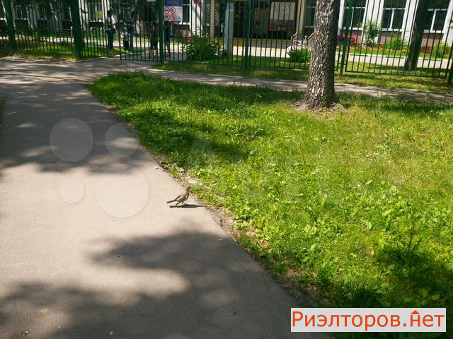 ������ �������� �������� ����� 38�2 (���� �4)