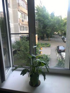 ������ �������� ����� ��������� 29�4 (���� �18)