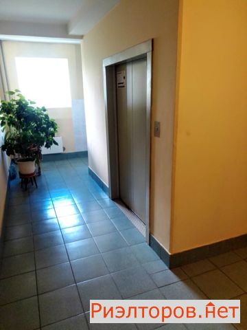 ������ �������� ������������ ����� 61�1 (���� �13)