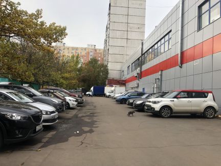 ����� ��������� ���������� ���������� ����� ��������� ������������ ����� 4� (���� �9)