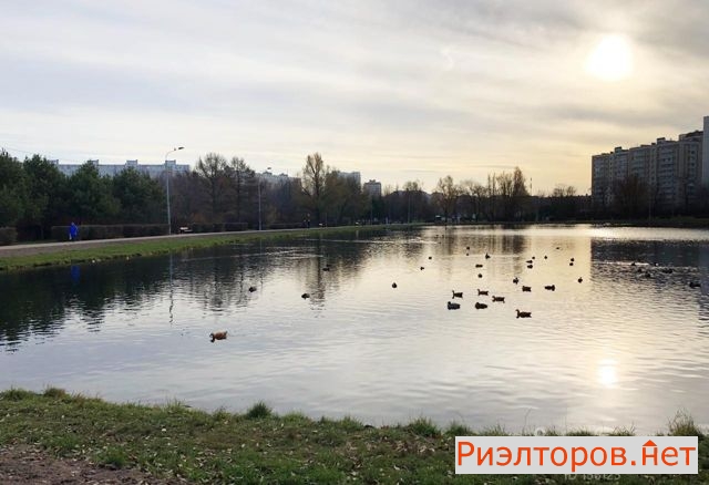 �� ������ ��� ������ � ����� (���� �4)