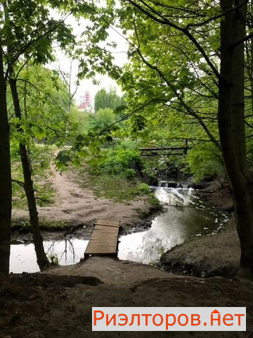 ����� �������� ������� ������ �������� ����� ����� (���� �15)