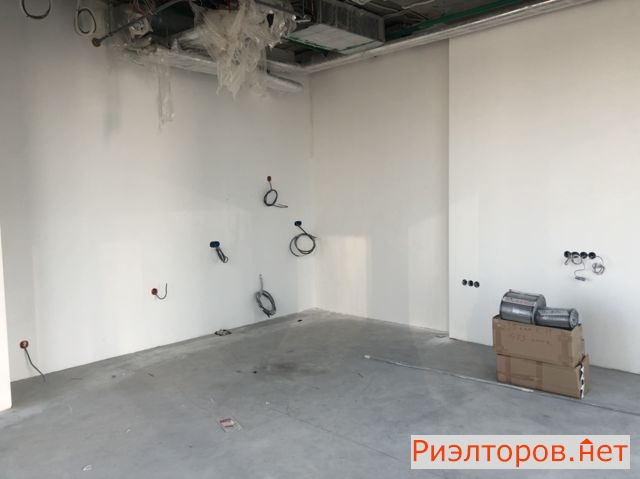 �� neva towers ������ (���� �13)