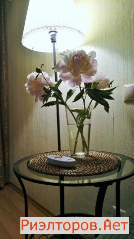 ����� �������� �������� �������� (���� �23)