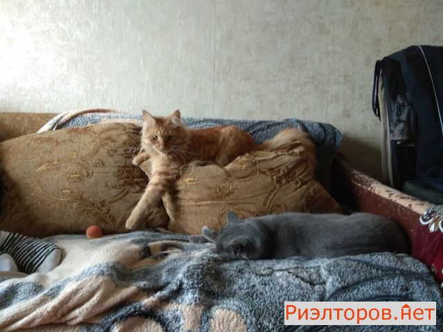 ����� ������� ������� ��� ������� 2�1 (���� �3)