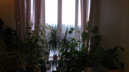 �� ���� ������ ��������� (���� �4)