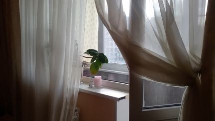 ������ �������� ����� ���������� 54�3 (���� �13)