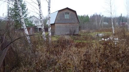 ������ ���� ��������� (���� �5)