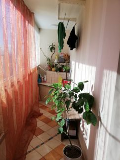 ������ �������� 3-� �������� ����� 25 (���� �3)