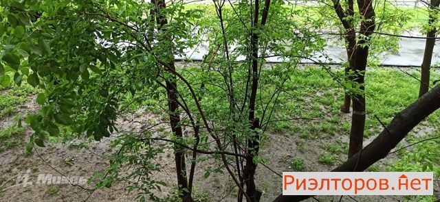 ������ �������� ��������� ����� 25 (���� �4)