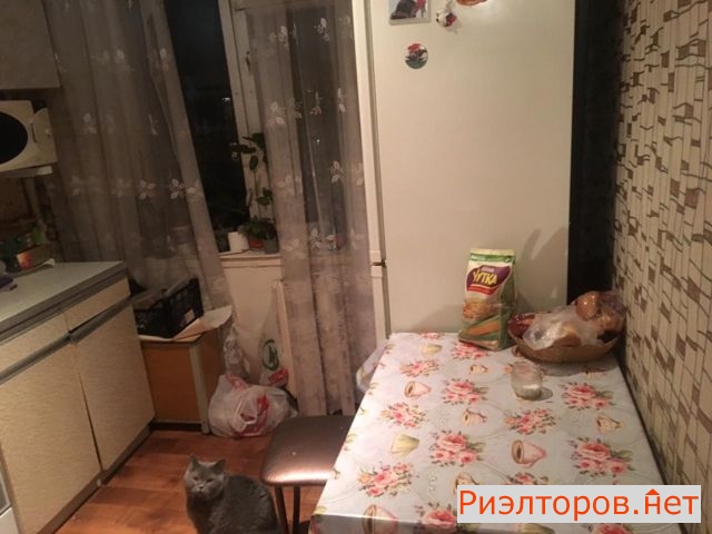 ����� ������� ����� ������� 21�4 (���� �4)