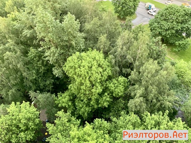 ������ �������� ��������� �������� 94� (���� �4)