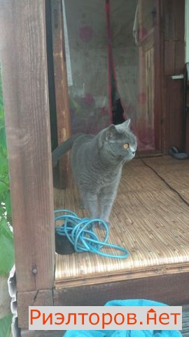 ����� ������� ������� ��� ������� 2�1 (���� �4)