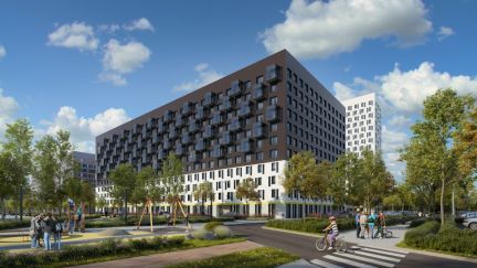 �� ���� ���� ����������� (���� �4)