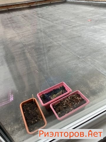 ������ �������� ������������� ����� 13 (���� �15)