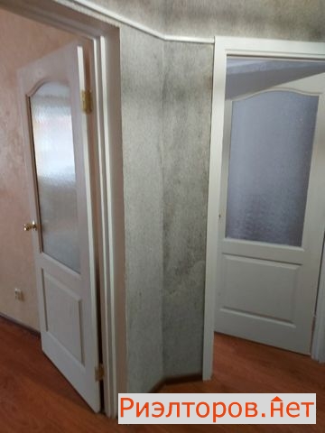 ����� �������� ������� �������� �������� ����� (���� �17)