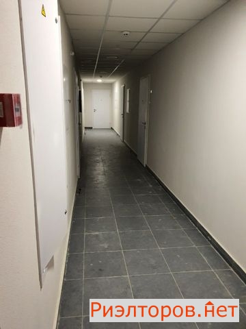 ������ �������� ����� ��������-��������� 11�4 (���� �25)