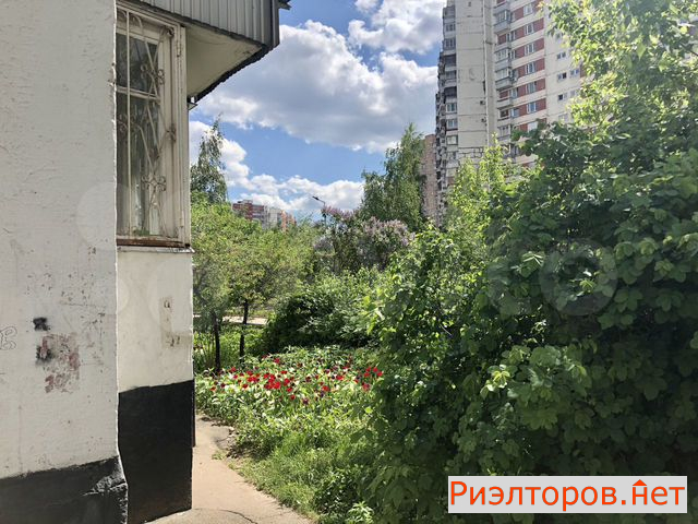 купить квартиру новокосинская улица 17к1 (фото №27) купить квартиру новокосинская улица 17к1 (фото №27)