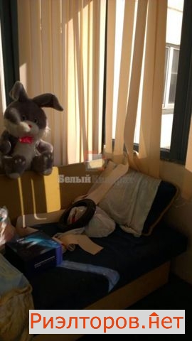 ������ �������� ������������ ������������ ����� 17�1 (���� �6)