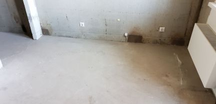 �� ��� ����� �� ����������� 169 ������ (���� �11)