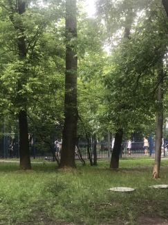 ������ �������� ����������� ����� 28� (���� �5)
