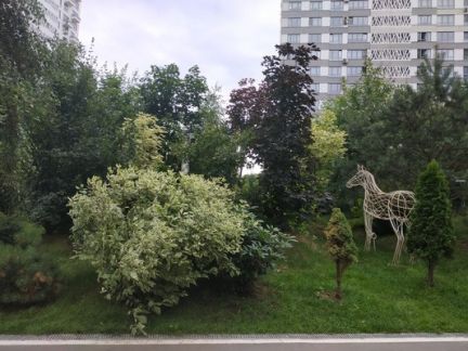�� wellton park ����� ������� (���� �9)