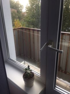 ����� �������� ����������� ����� 46�2 (���� �2)