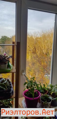 ������ �������� ������� ��. 19� (���� �5)