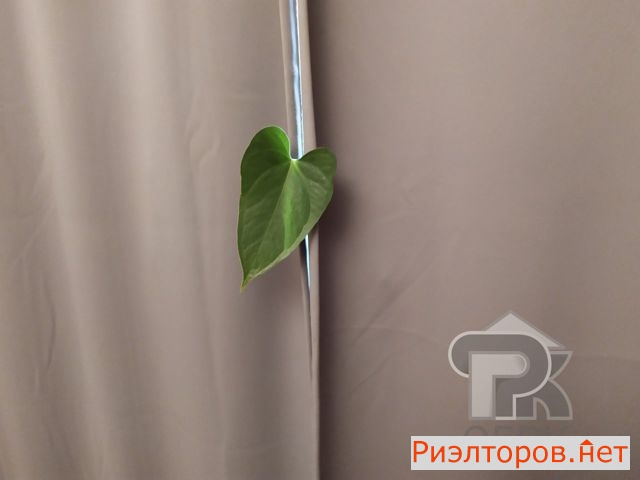 ������ �������� ����� ������������ ����� ����� �������� ��� 16 (���� �16)
