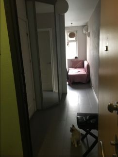 ������ �������� �������������� ����� 21�4 ������� 1 (���� �8)