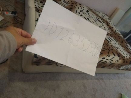 ����� �������� ��������� ��������� ������ 19 (���� �4)