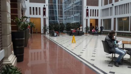 ����� �������� ��������� � w plaza (���� �5)