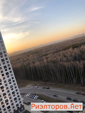 �� ��������� ���� ����� (���� �17)