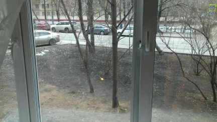 ������ �������� ���������� �������� 12 (���� �13)