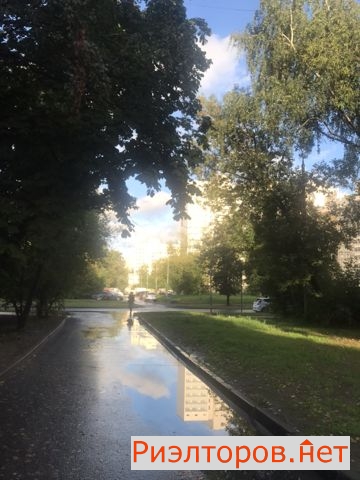 ����� �������� 11-� �������� ����� 52 (���� �29)