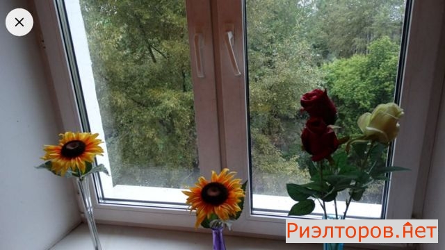 ����� ������� ����������� ����� 18 10 (���� �7)