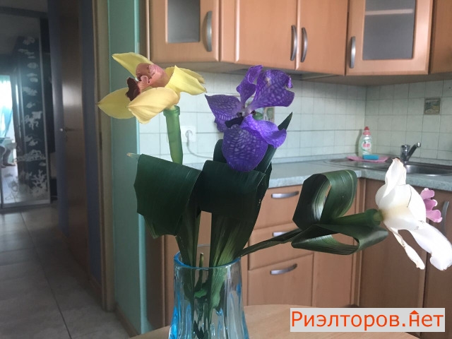 ����� �������� ��������� �� ������� 6�1 (���� �7)