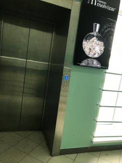 ������ ���� ����� ����� 31�1 (���� �3)