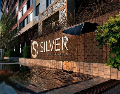 �� silver ������������ (���� �2)