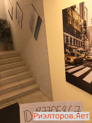 ����� �������� � �����-����� crown apartments (���� �18)