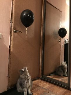 ������ �������� �������� �11 (���� �4)