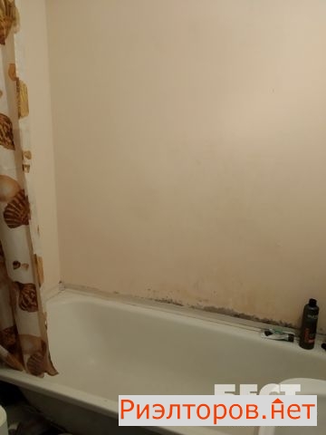 ������ �������� �������� ����������� ����� ��������� 5�1 (���� �8)