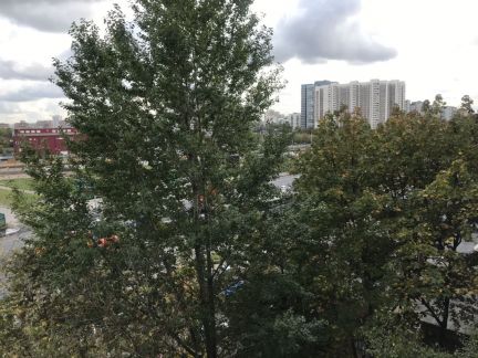 ����� �������� ����������� ����� 43�1 (���� �6)