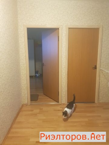 ����� ������� �������� ����� 53�3 (���� �8)
