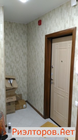 ����� �������� ����� ���������� ��������� 8 (���� �8)